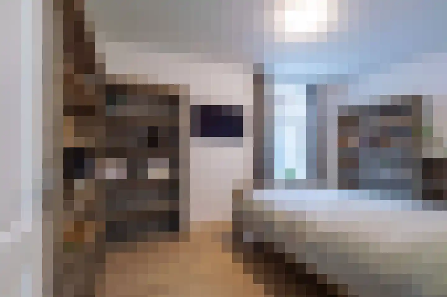 Midstrjitte 34 Woudsend thumbnail 31