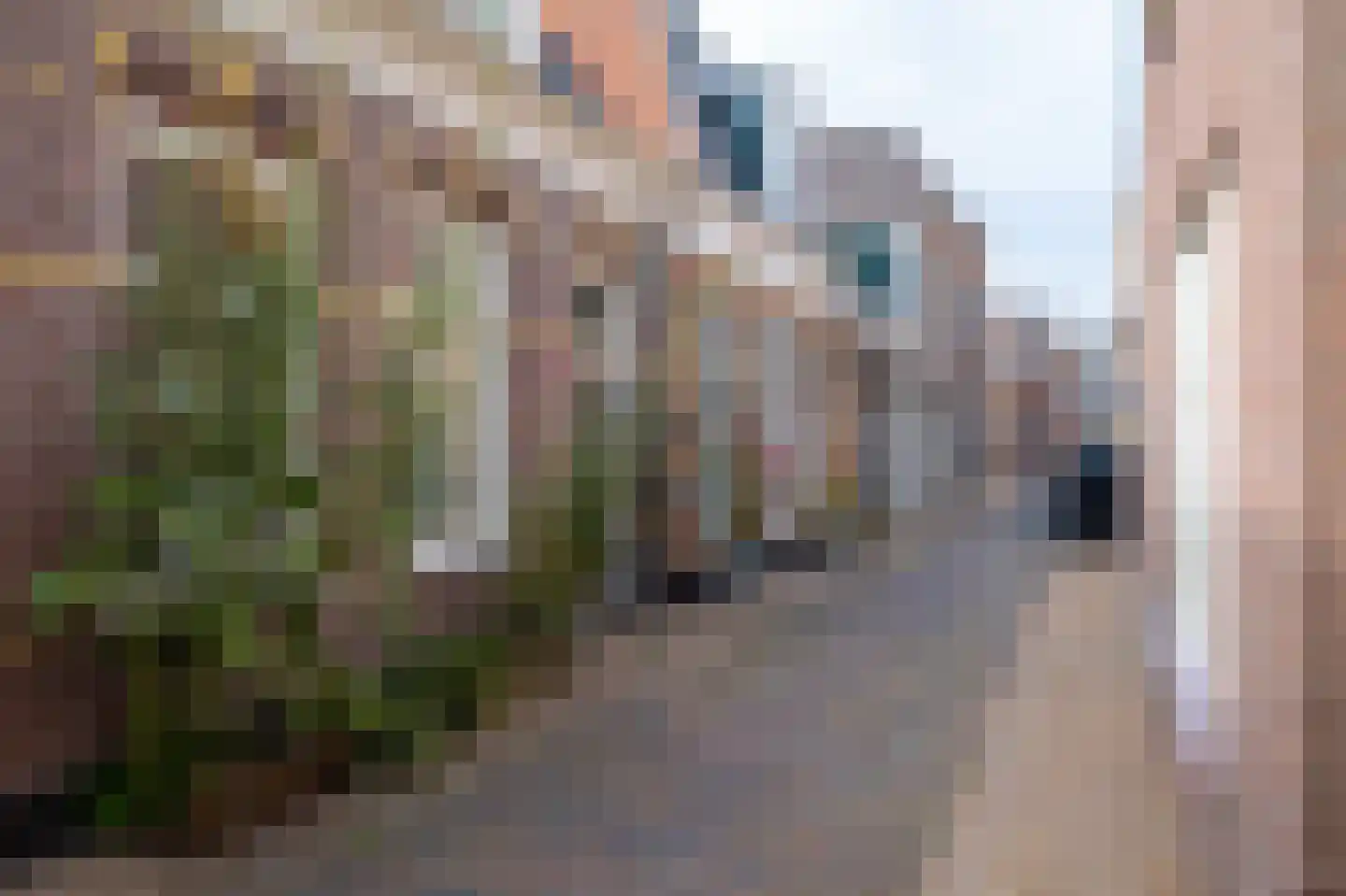 Midstrjitte 34 Woudsend thumbnail 66