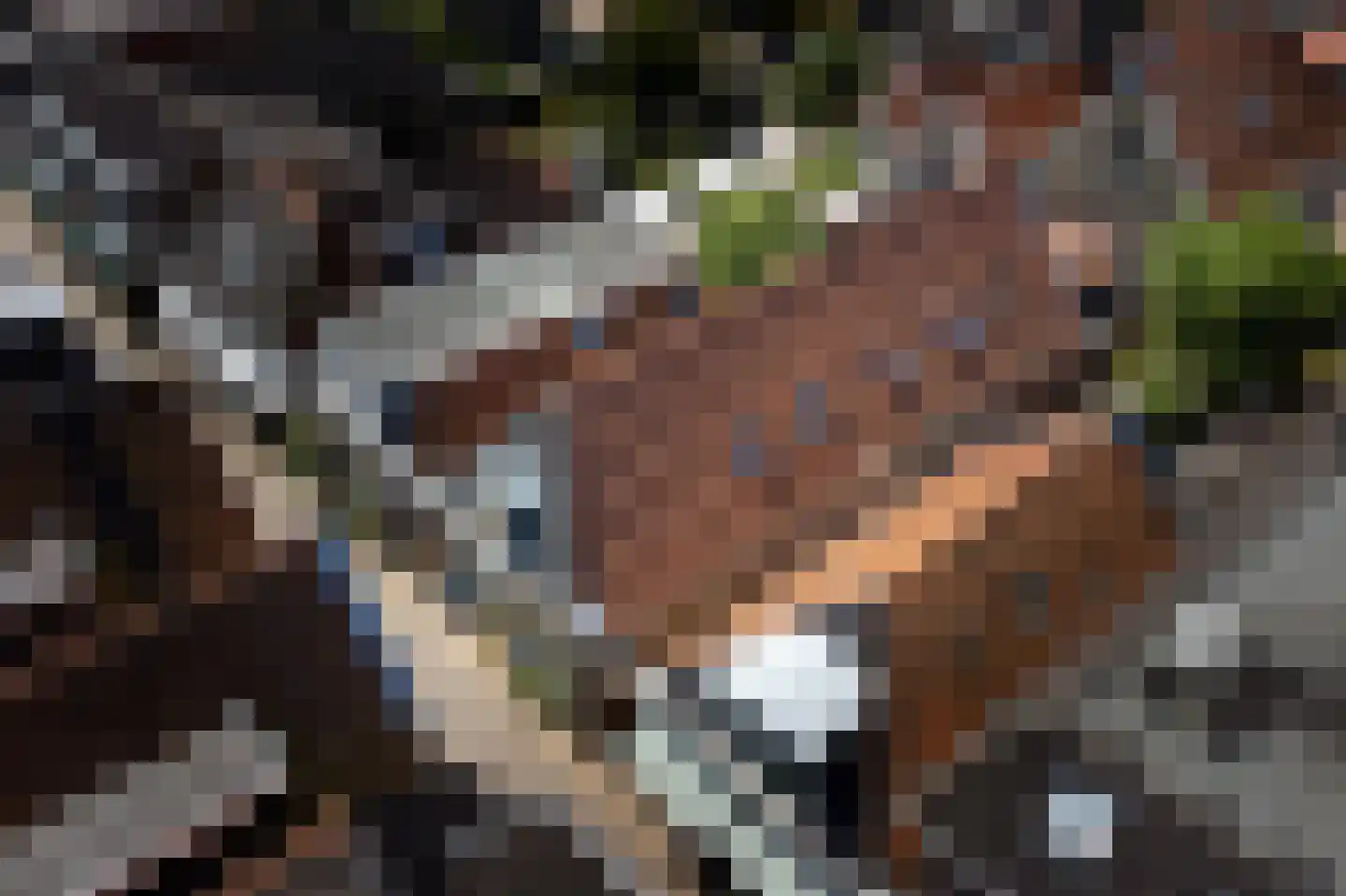 Midstrjitte 34 Woudsend thumbnail 68