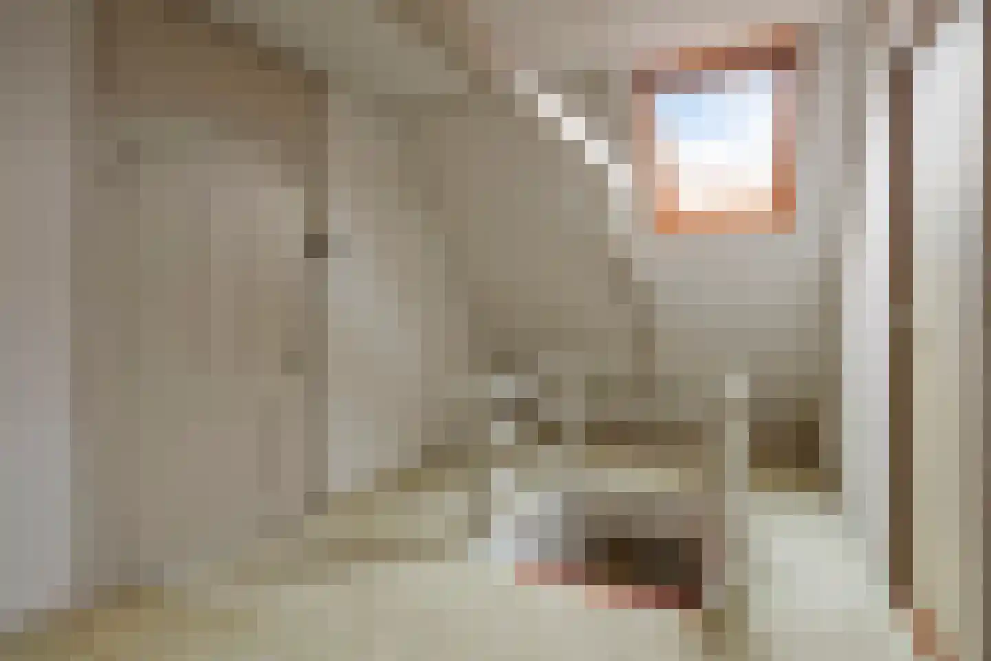 Midstrjitte 53 Woudsend thumbnail 20