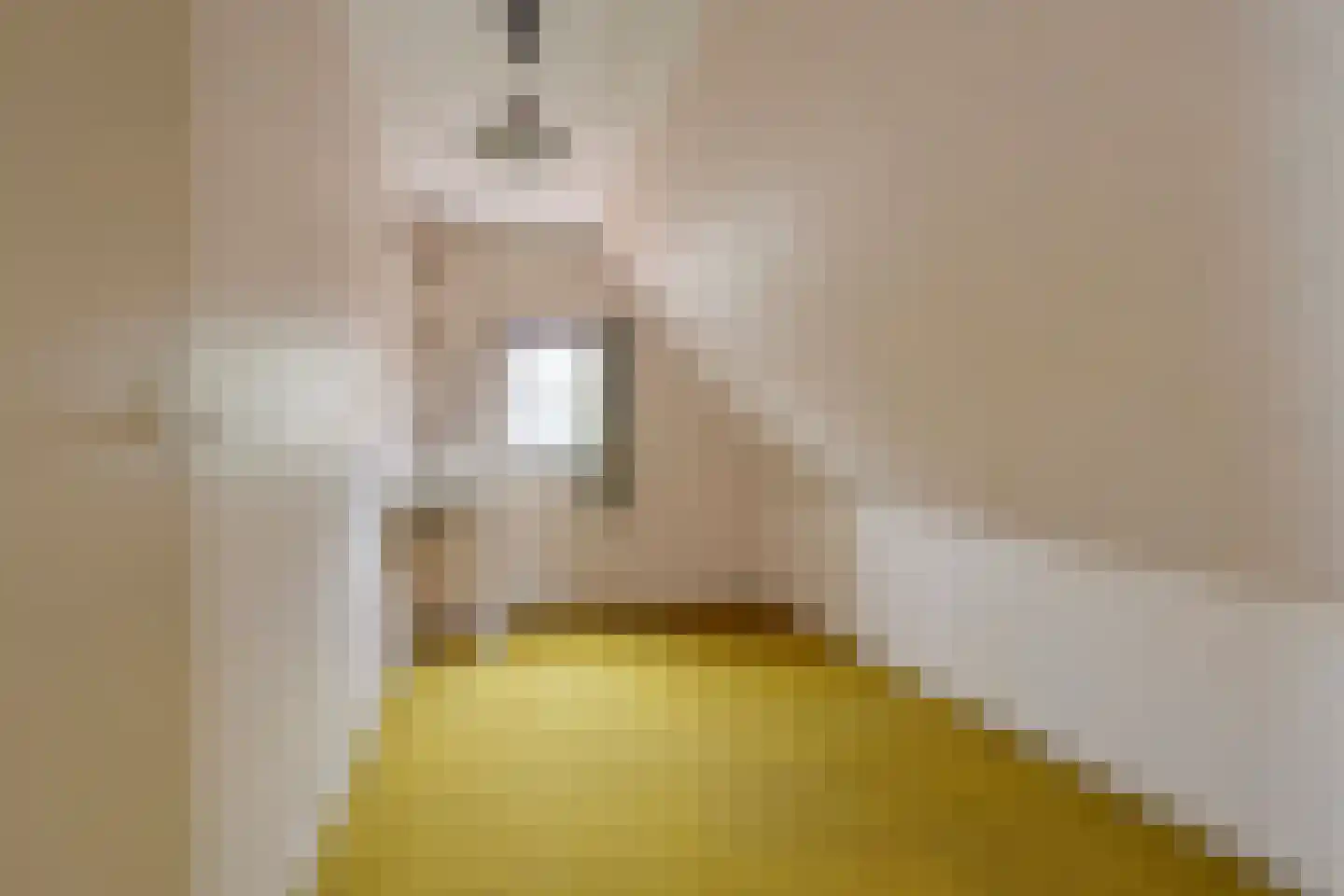 Midstrjitte 53 Woudsend thumbnail 23
