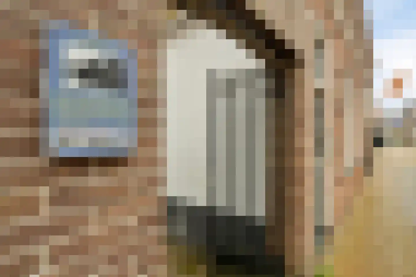 Midstrjitte 53 Woudsend thumbnail 25