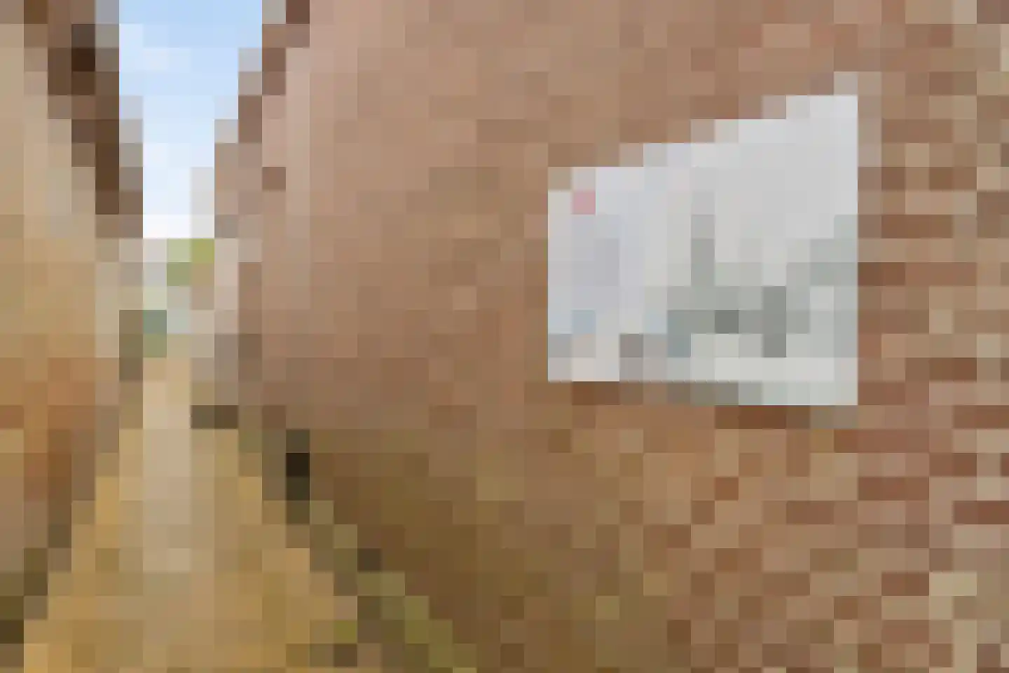 Midstrjitte 53 Woudsend thumbnail 26