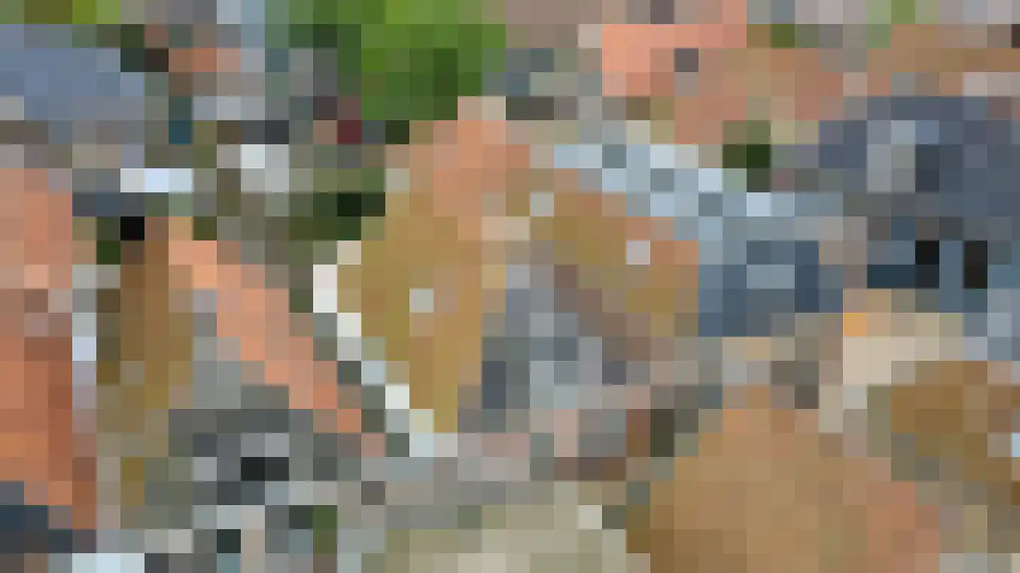 Midstrjitte 53 Woudsend thumbnail 4