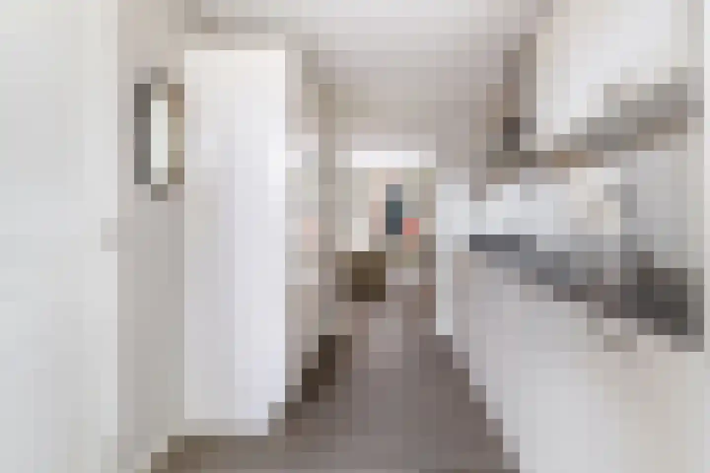 Midstrjitte 64 Woudsend thumbnail 13