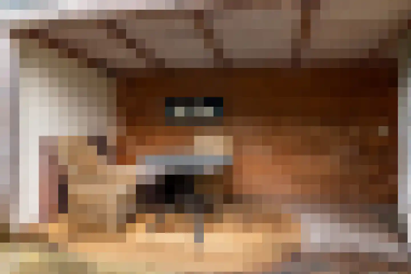 Midstrjitte 64 Woudsend thumbnail 22