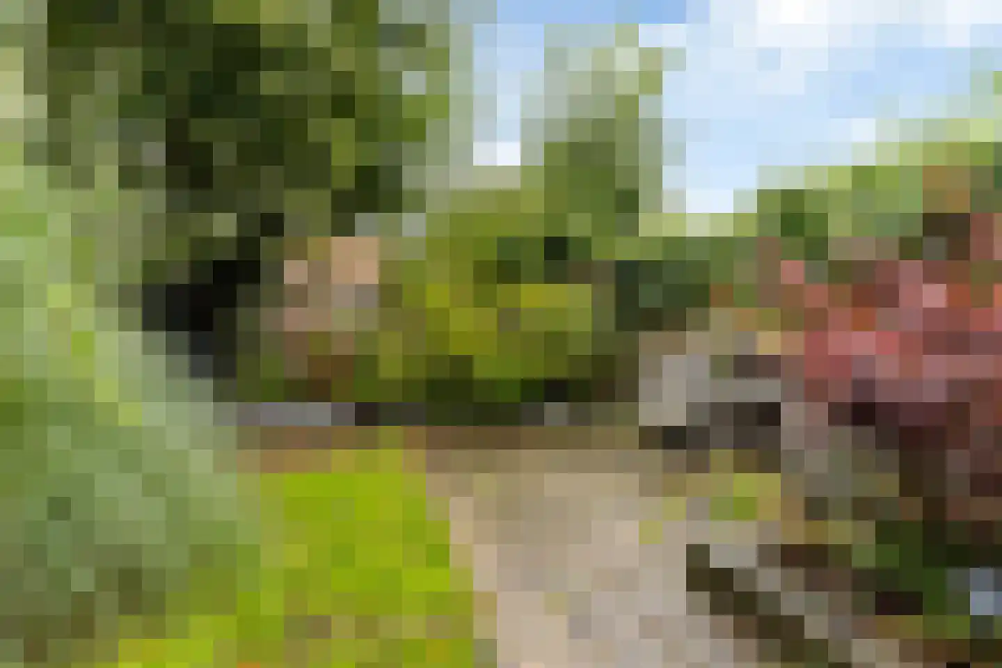 Midstrjitte 64 Woudsend thumbnail 24