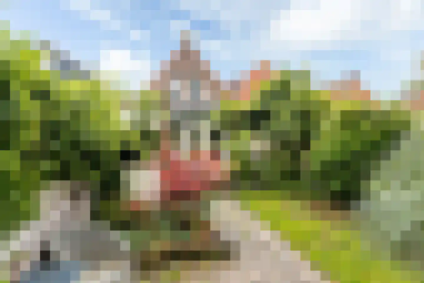 Midstrjitte 64 Woudsend thumbnail 25