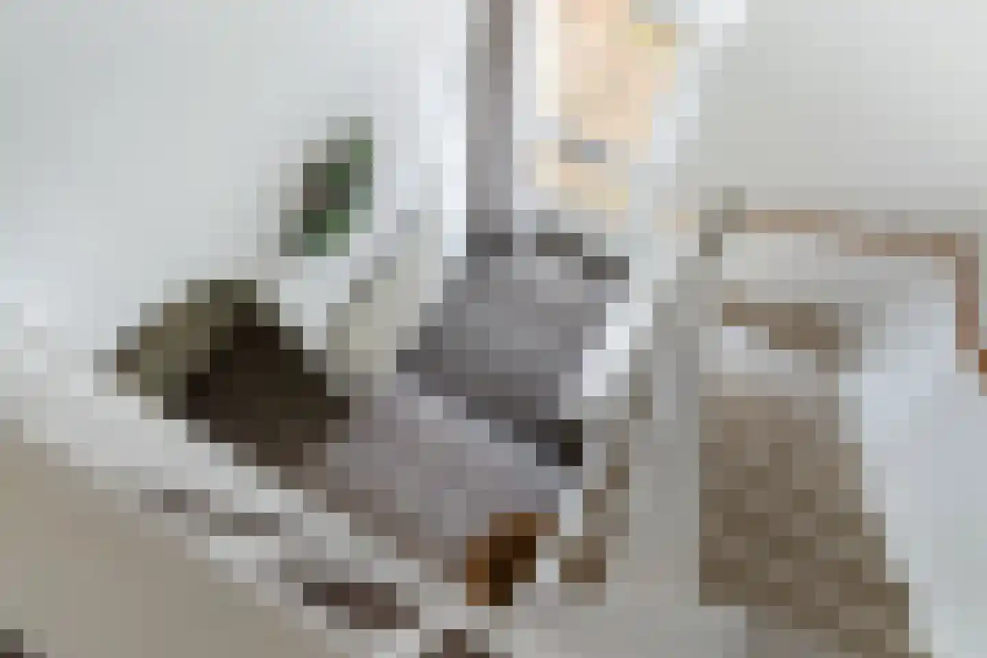 Midstrjitte 64 Woudsend thumbnail 27