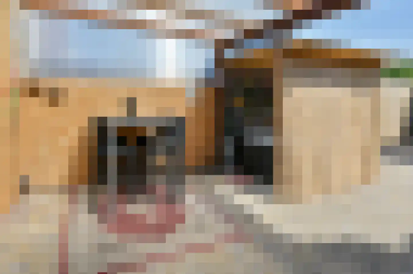 Midvoordreef 9 Kudelstaart thumbnail 22