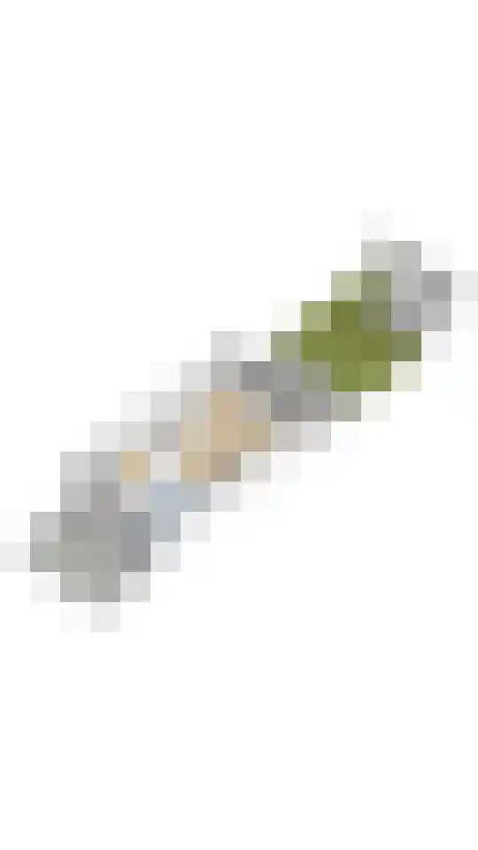 Midvoordreef 9 Kudelstaart thumbnail 34