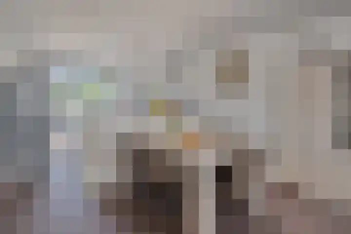 Midwoldeplein 2 Tilburg thumbnail 4