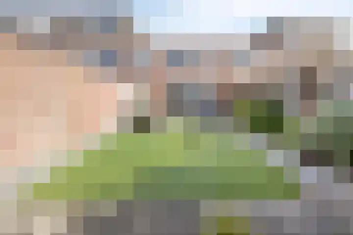 Midwoldeplein 27 Tilburg thumbnail 6