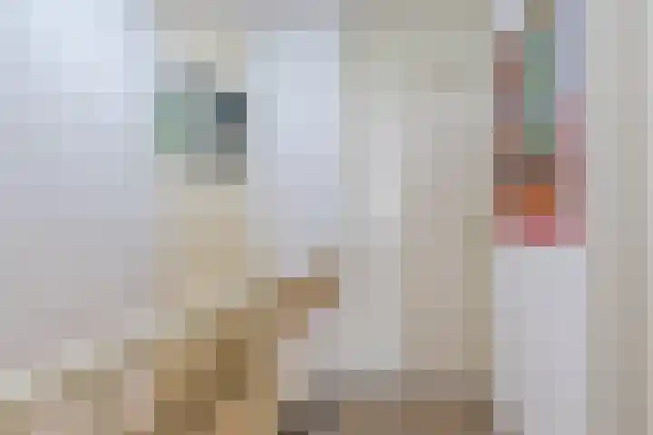 Midwoldeplein 29 Tilburg thumbnail 28