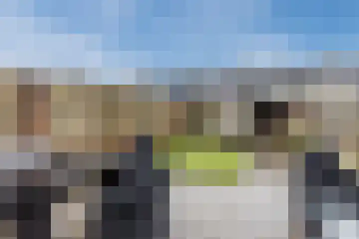 Midwoldeplein 29 Tilburg thumbnail 35