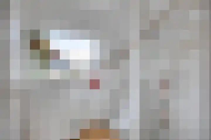 Midwoldeplein 3 Tilburg thumbnail 6