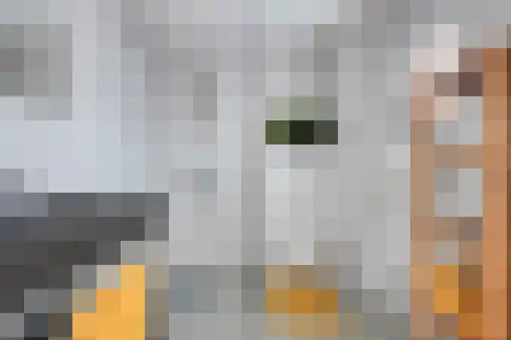 Midwoldeplein 3 Tilburg thumbnail 9