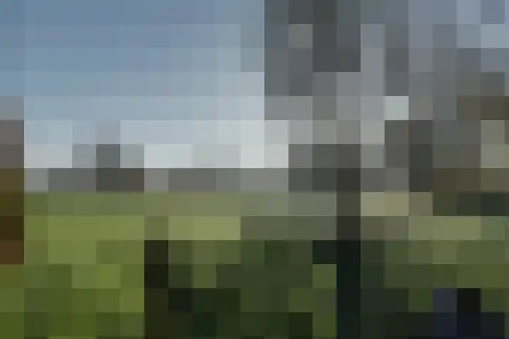 Midwolderweg 31 Midwolde thumbnail 60