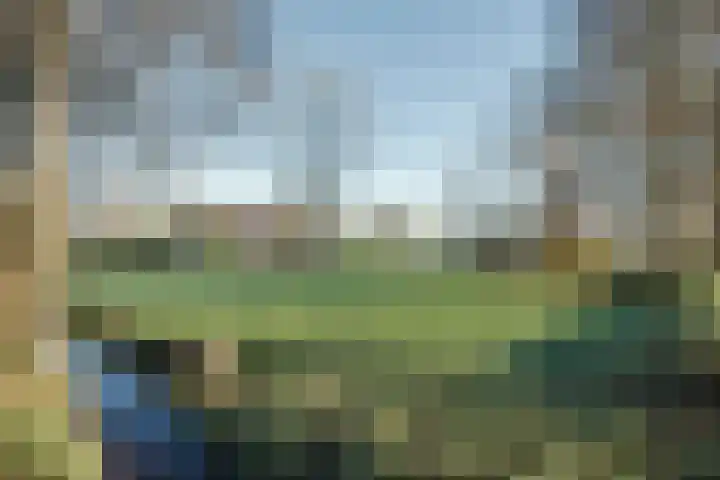 Midwolderweg 31 Midwolde thumbnail 9