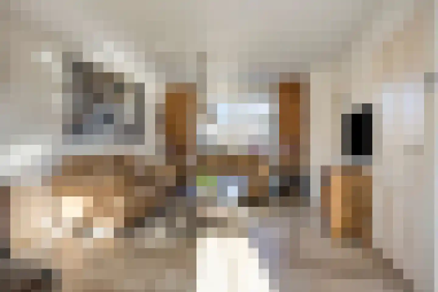 Midwoldestraat 33 Tilburg thumbnail 10