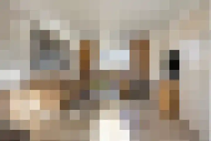Midwoldestraat 33 Tilburg thumbnail 10