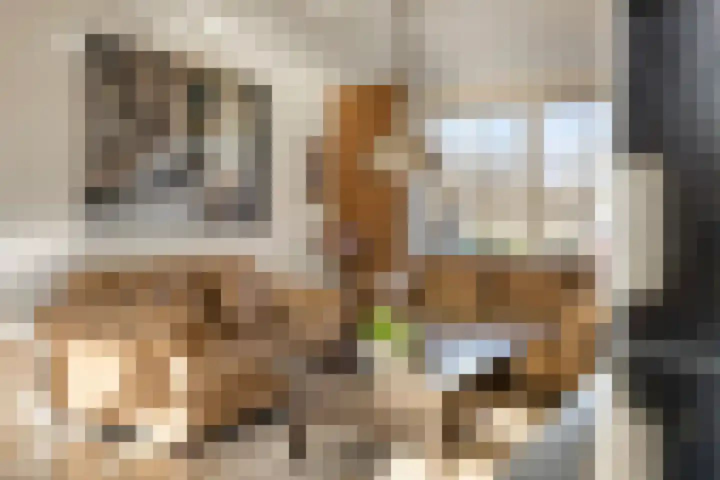 Midwoldestraat 33 Tilburg thumbnail 12