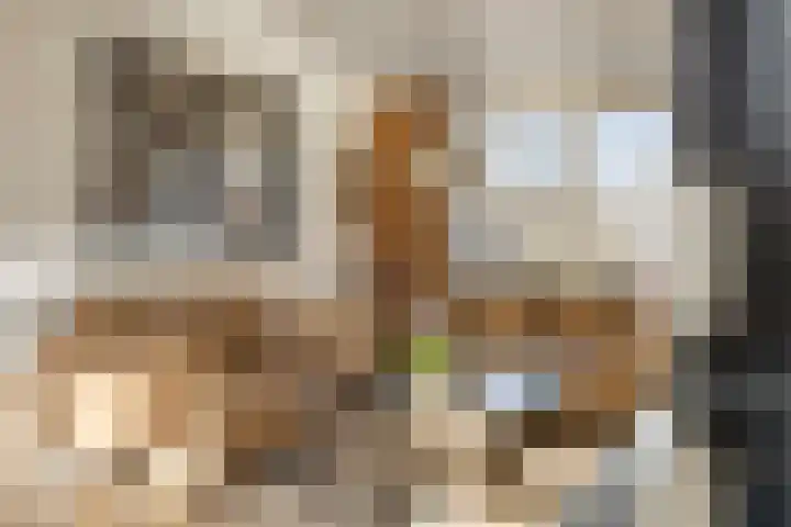 Midwoldestraat 33 Tilburg thumbnail 12