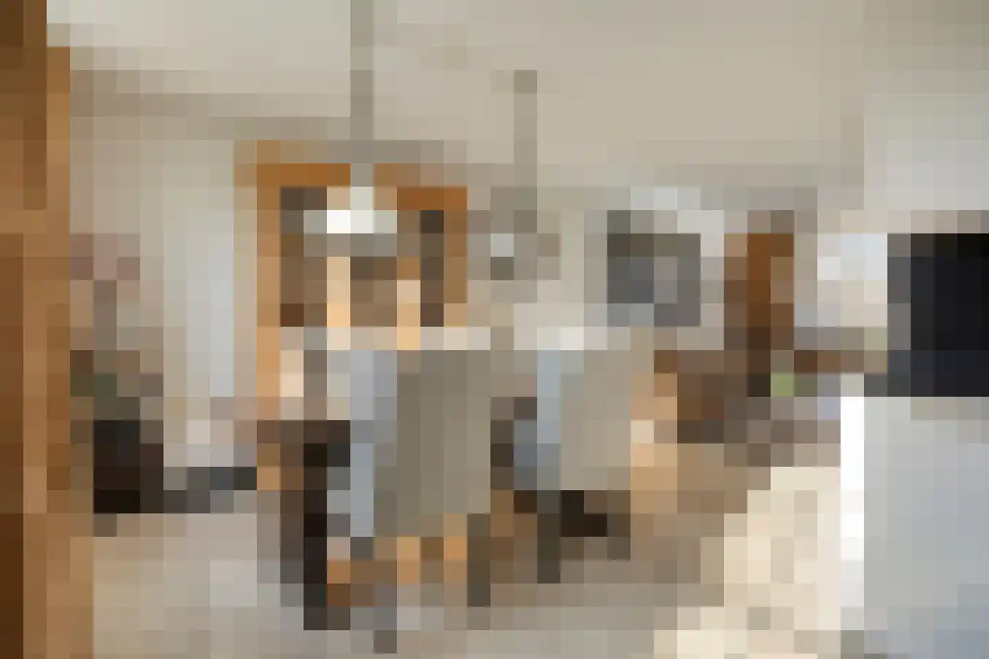 Midwoldestraat 33 Tilburg thumbnail 14
