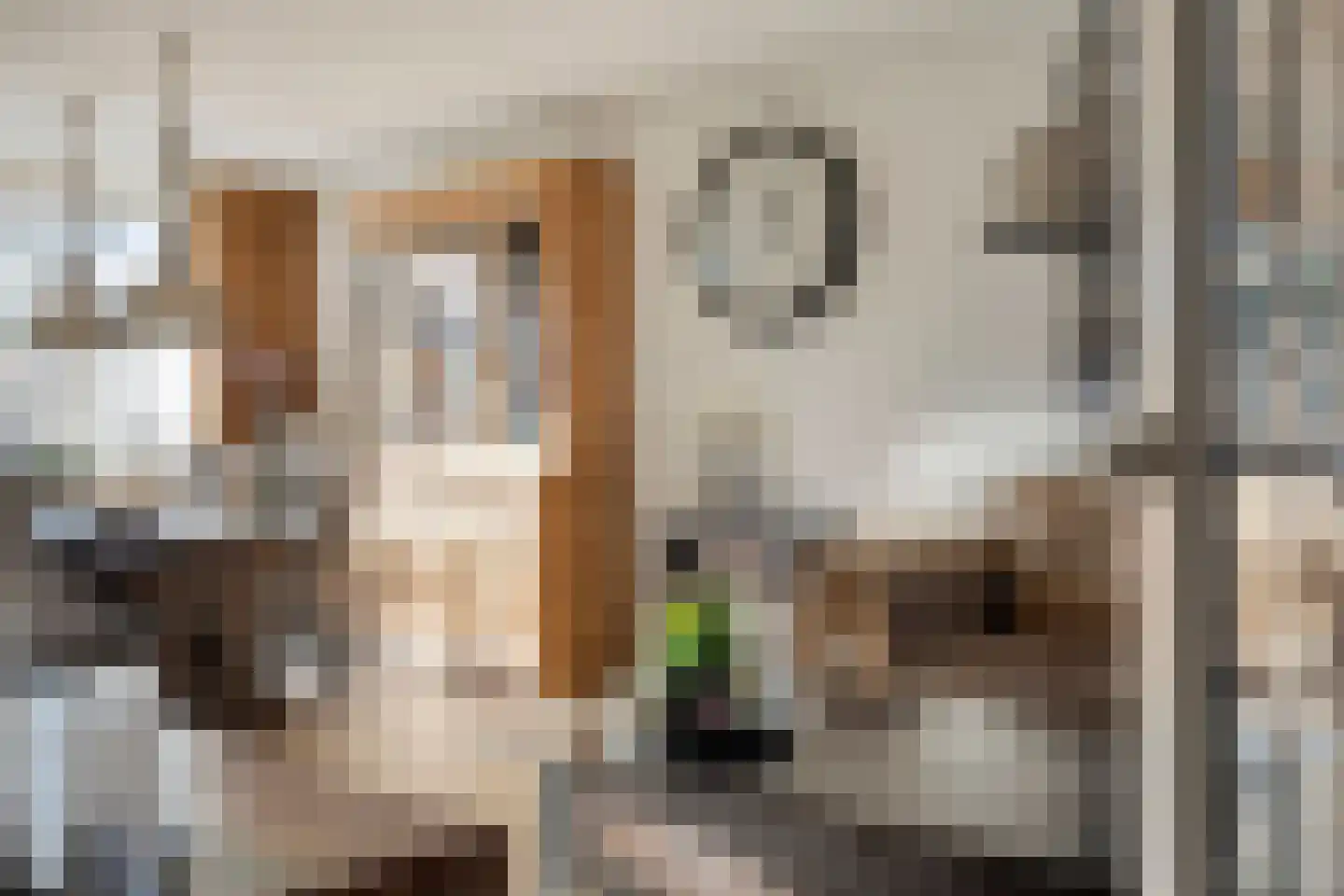 Midwoldestraat 33 Tilburg thumbnail 15