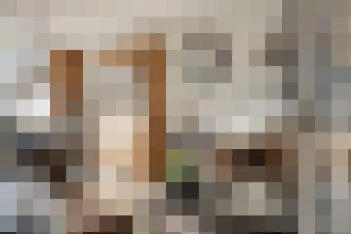 Midwoldestraat 33 Tilburg thumbnail 15