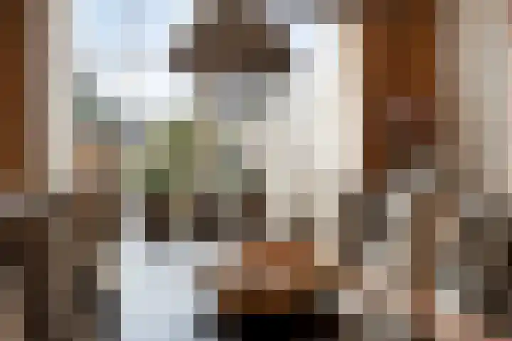 Midwoldestraat 33 Tilburg thumbnail 16