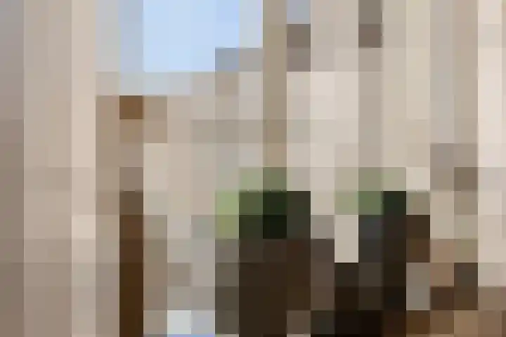 Midwoldestraat 33 Tilburg thumbnail 17