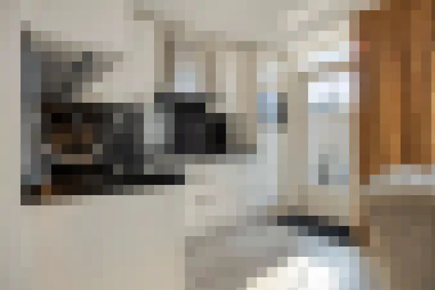 Midwoldestraat 33 Tilburg thumbnail 18