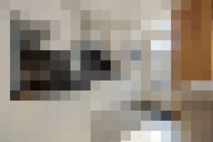 Midwoldestraat 33 Tilburg thumbnail 18