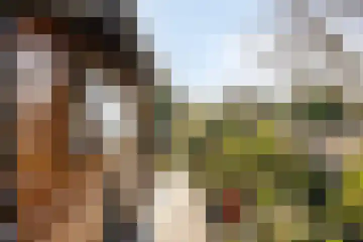 Midwoldestraat 33 Tilburg thumbnail 37