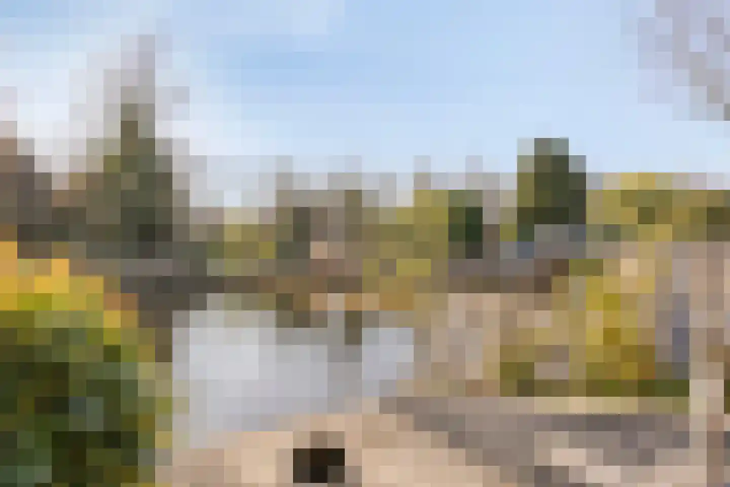 Midwoldestraat 33 Tilburg thumbnail 39