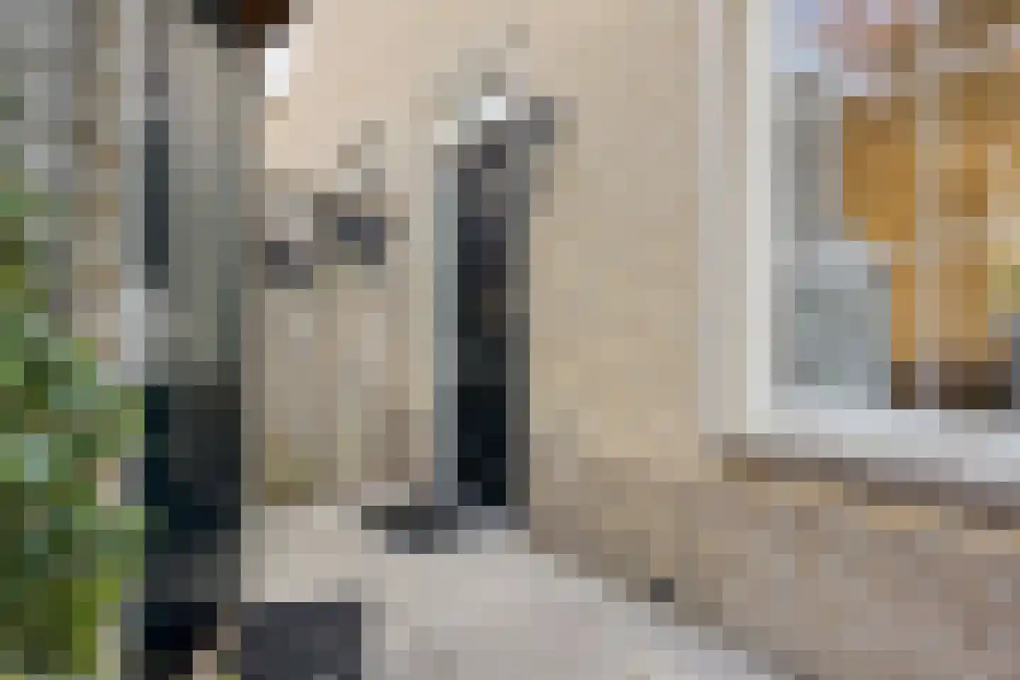 Midwoldestraat 33 Tilburg thumbnail 6