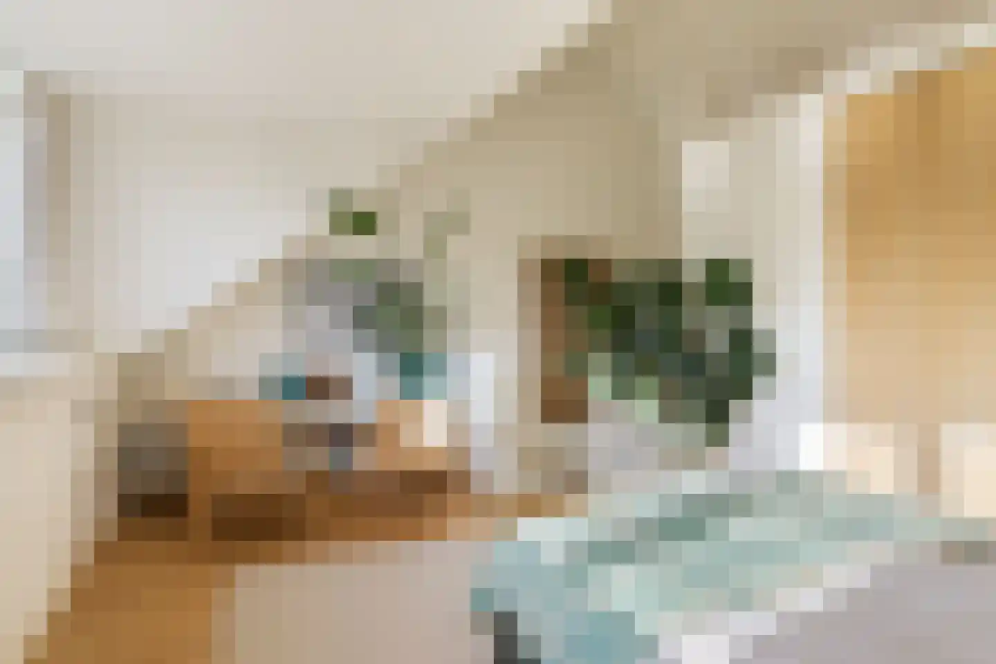 Midwoudpad 98 Amsterdam thumbnail 32