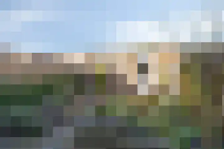 Midzwaard 9 Almere thumbnail 30