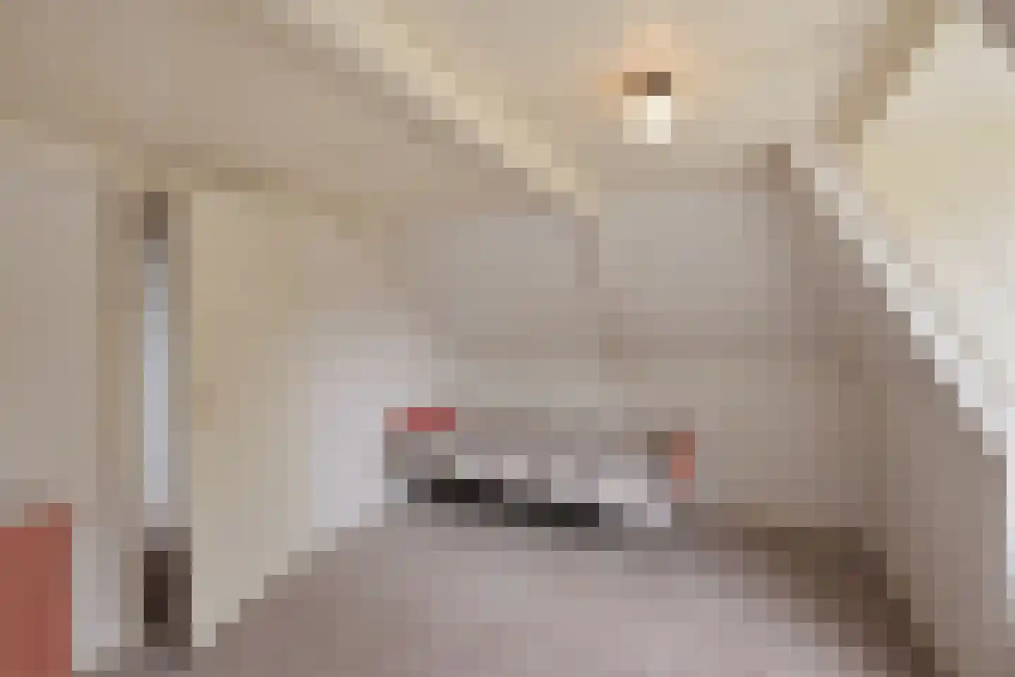 Mieddyk 13 Menaam thumbnail 27
