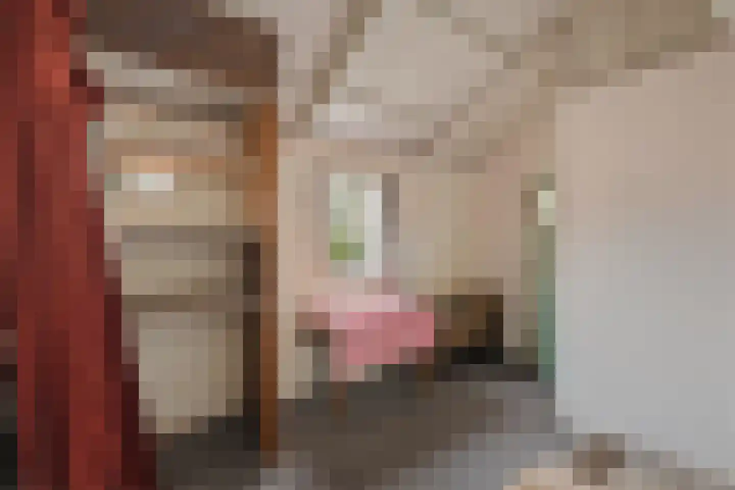 Mieddyk 13 Menaam thumbnail 28