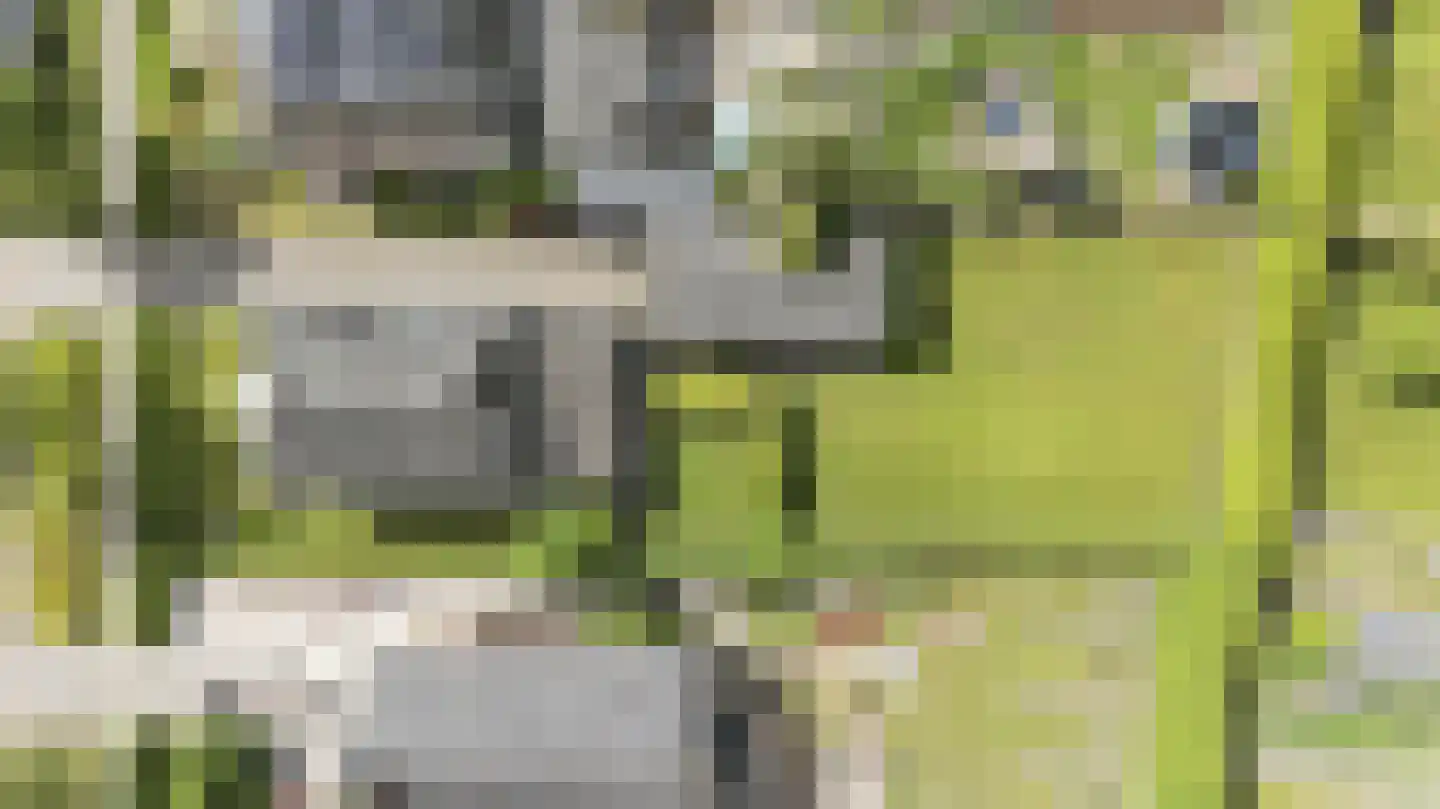 Mieddyk 13 Menaam thumbnail 34