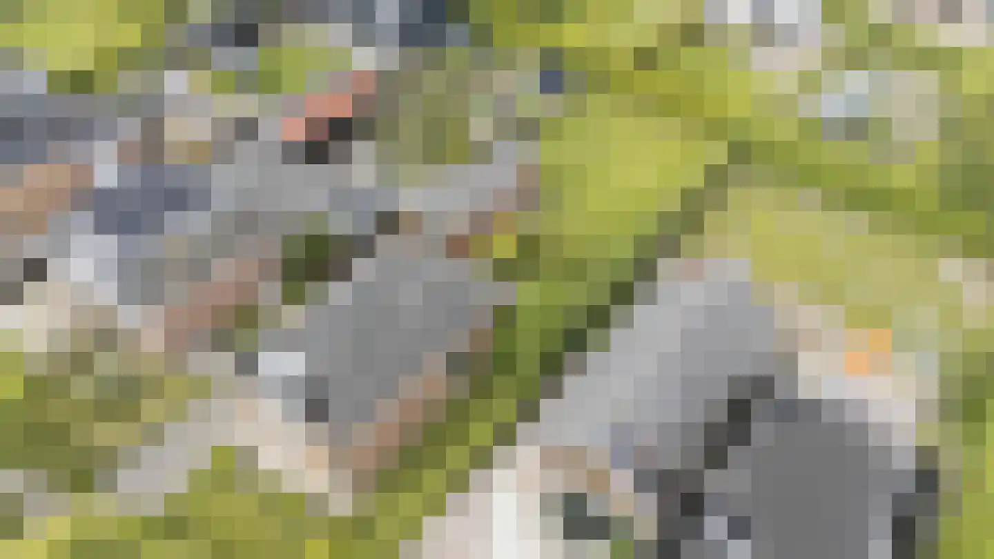Mieddyk 13 Menaam thumbnail 35