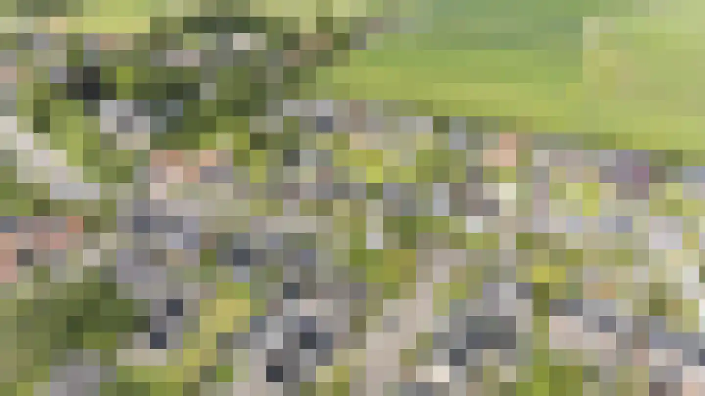 Mieddyk 13 Menaam thumbnail 36
