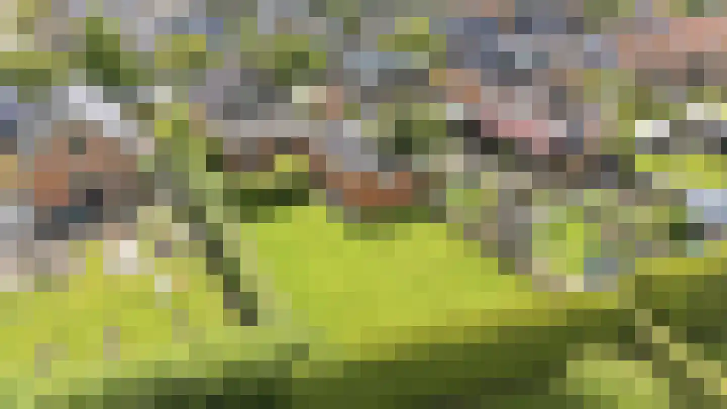 Mieddyk 13 Menaam thumbnail 37