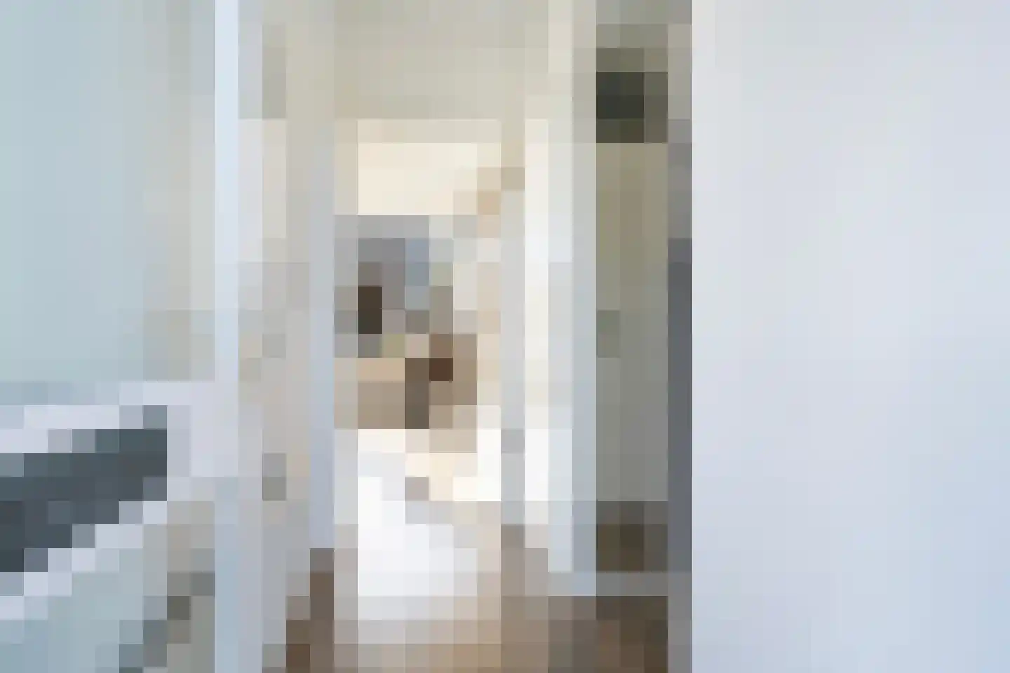 Mieddyk 78 Menaam thumbnail 12
