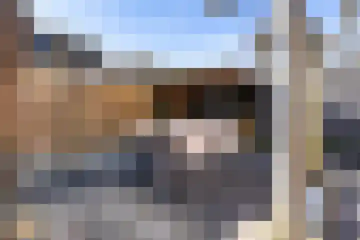 Mieddyk 78 Menaam thumbnail 31