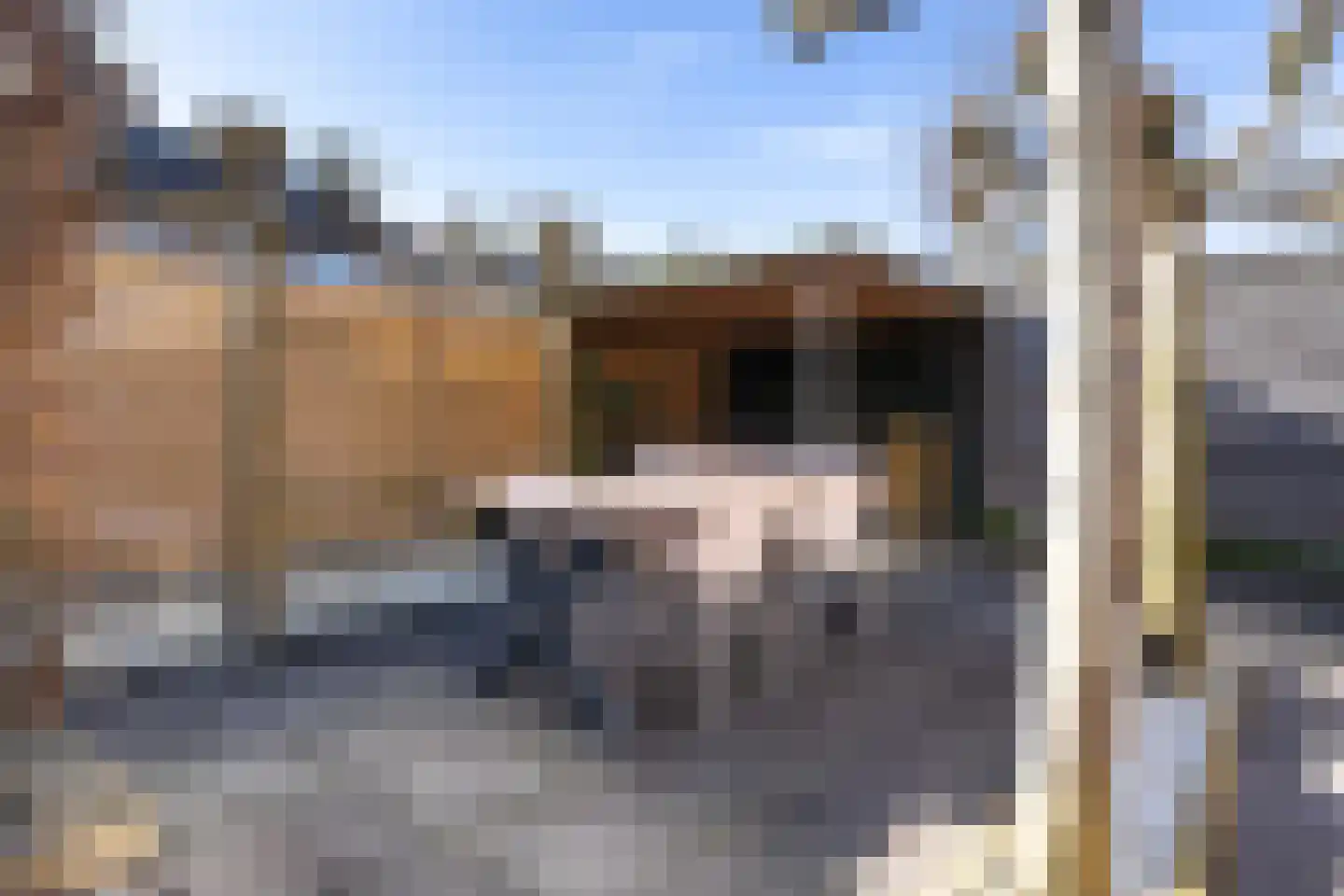 Mieddyk 78 Menaam thumbnail 31