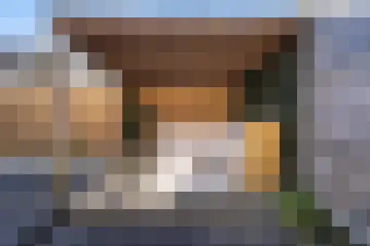 Mieddyk 78 Menaam thumbnail 33