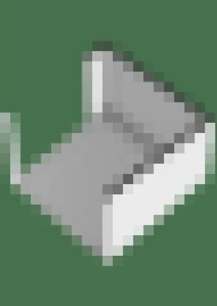 Mieddyk 78 Menaam thumbnail 55
